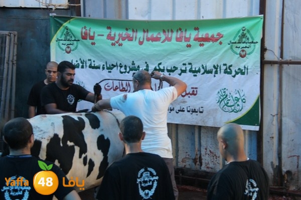 ada7y 116 n1 (46).JPG